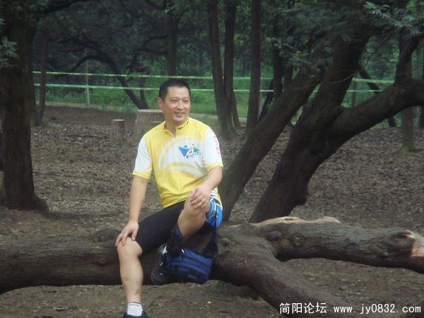 悠闲地雄鸡