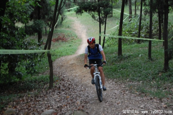 BigBull_DSC_6184.JPG