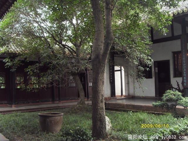 SDC16705.jpg