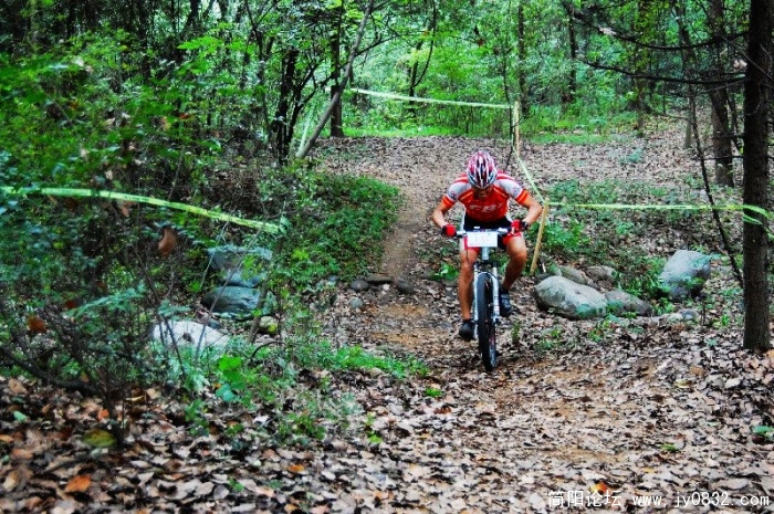 BigBull_DSC_6328.JPG
