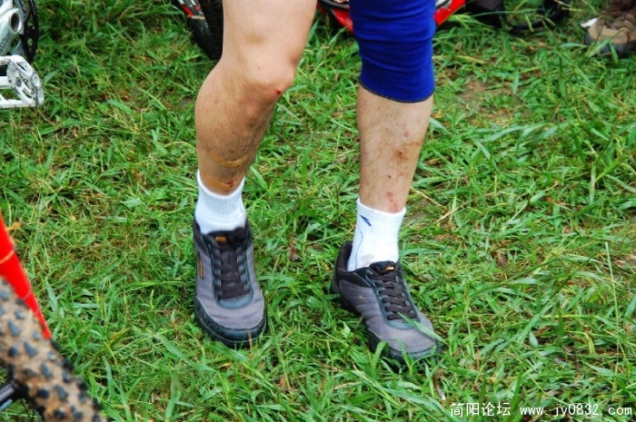 BigBull_DSC_6238.JPG