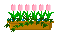 47_98363_273639b3313f18b.gif