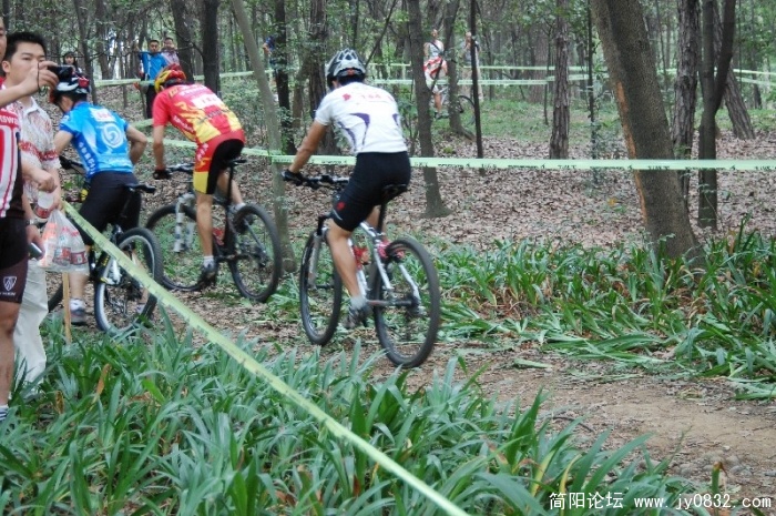 BigBull_DSC_6444.JPG
