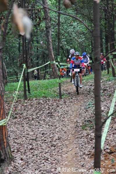 BigBull_DSC_6270.JPG