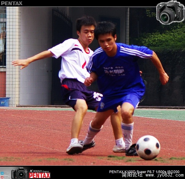 IMGP0319.jpg