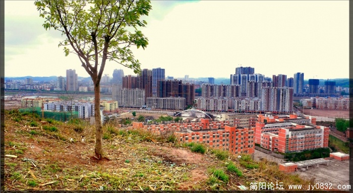 P1100631_备份副本.jpg