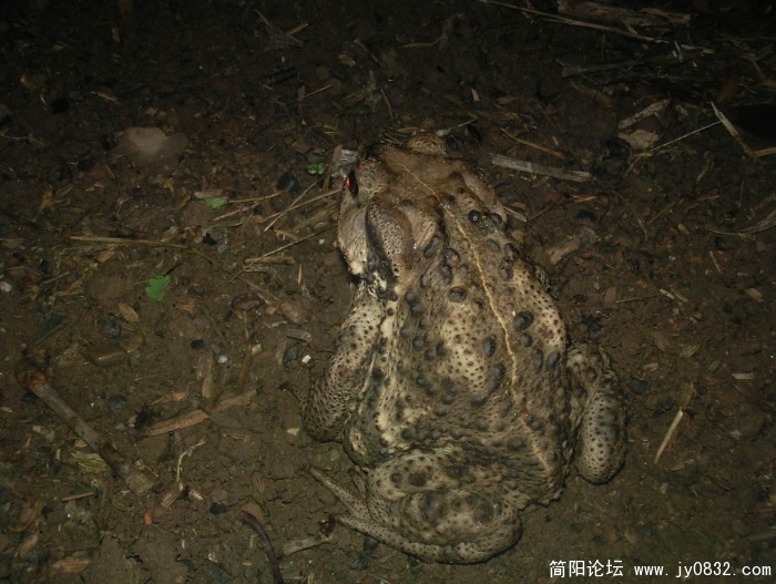 照片900.jpg