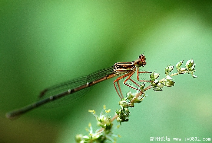 DSC_8960 拷贝.jpg