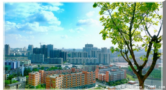 P1100668_备份副本.jpg