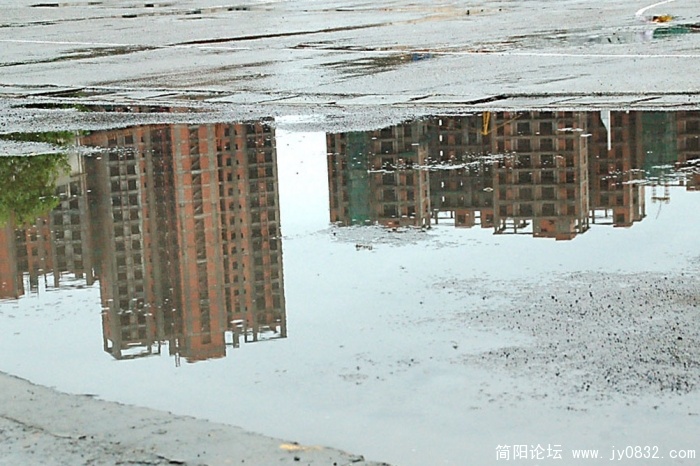 DSC_8096.jpg