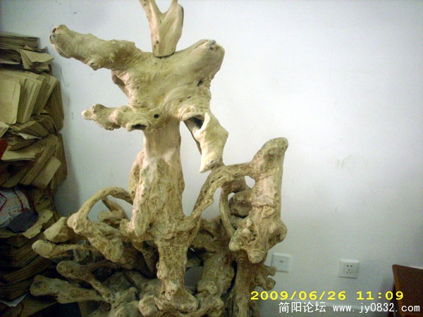 DSCI2056.jpg