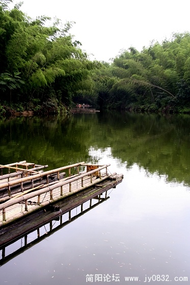 蜀南竹海1.jpg