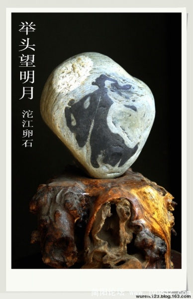 沱江奇石.jpg