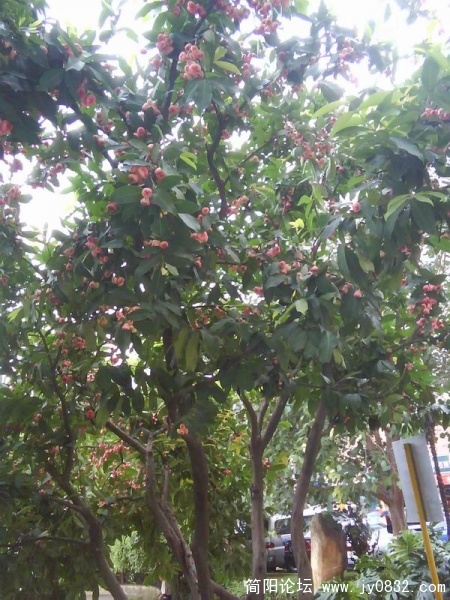 旋转 照片0052.jpg