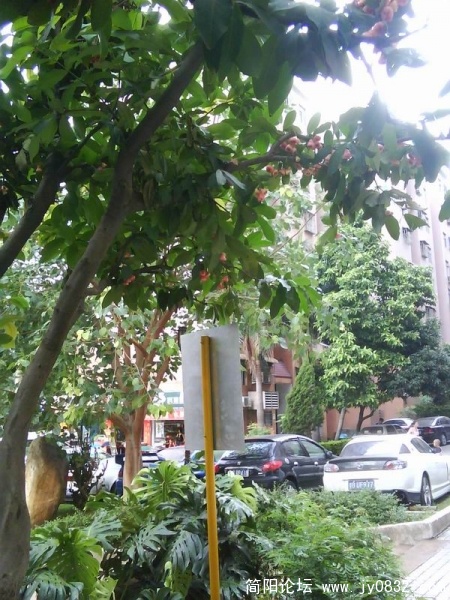 旋转 照片0054.jpg