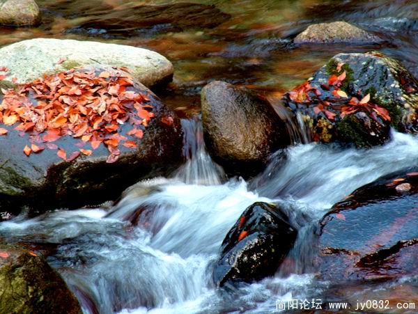 秋水.jpg