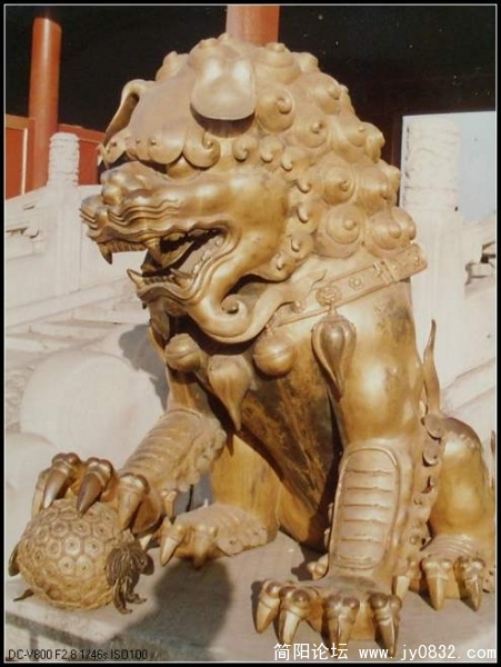 金狮.jpg