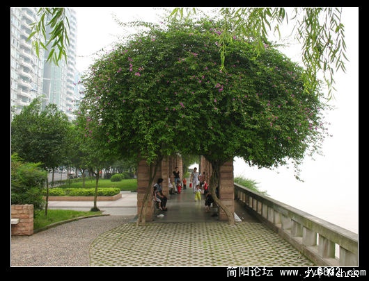 万里长江第一路——江津滨江路