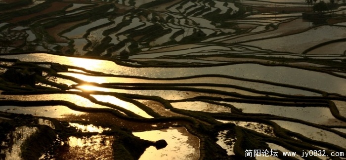 照片 204.JPG