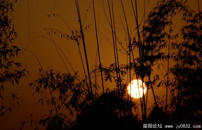 照片 680.JPG