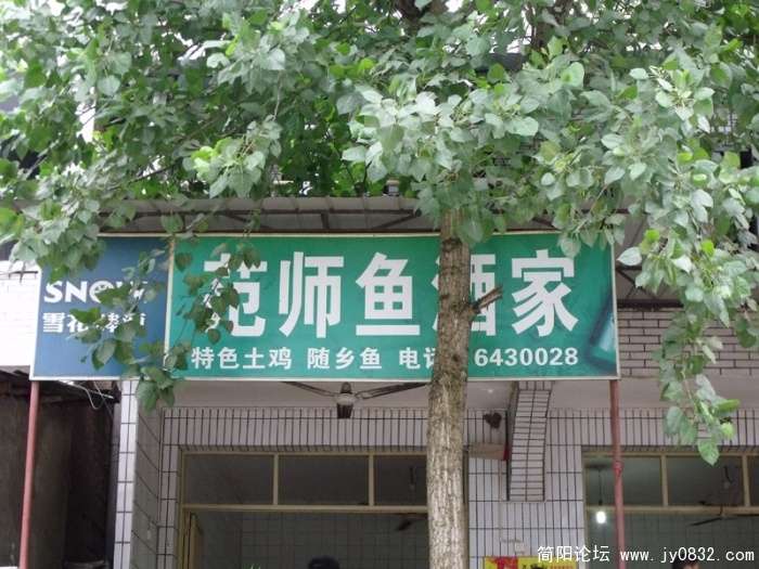 2-4.jpg