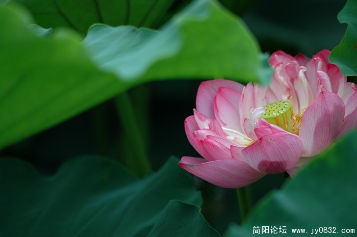 DSC_5504.jpg