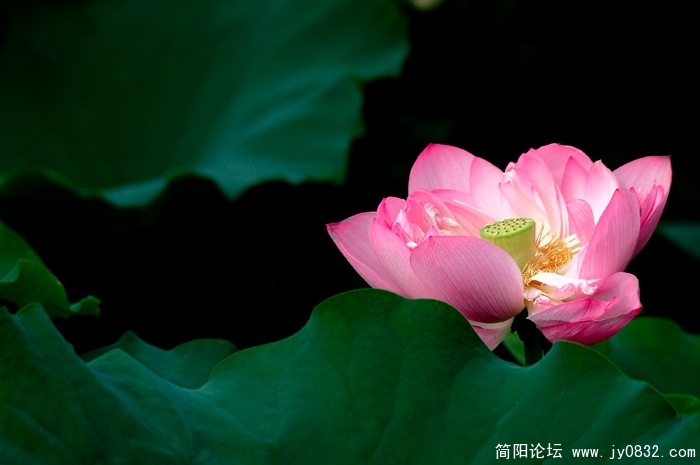 DSC_5439.jpg