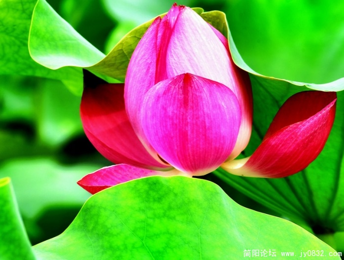 _DSC2748副本.jpg