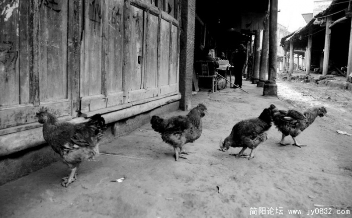 老街印象1.jpg