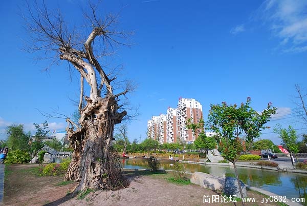 枯与新.jpg