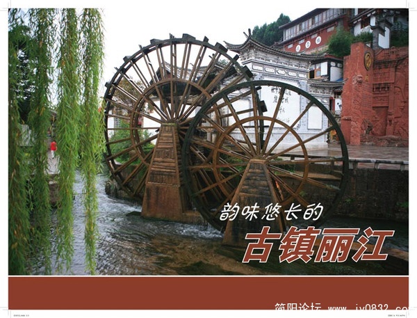 20090628.jpg