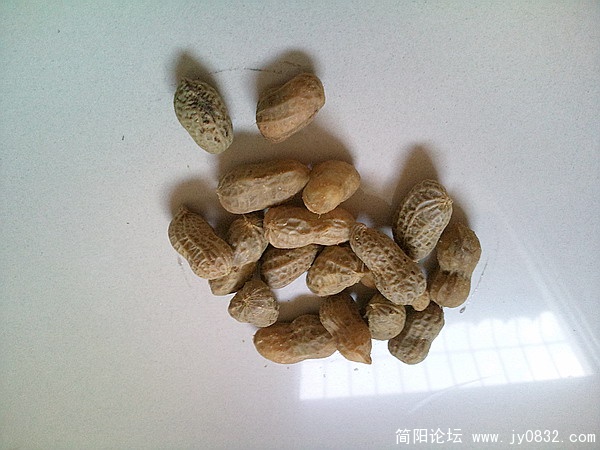 照片1590.jpg