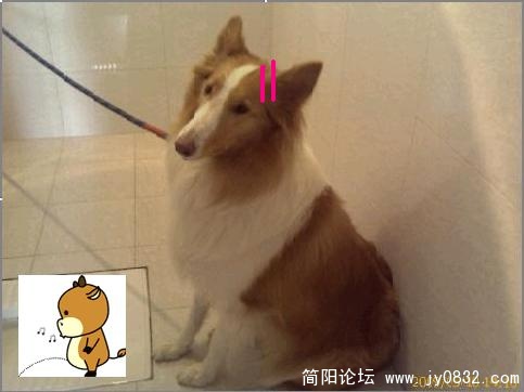 s2.jpg
