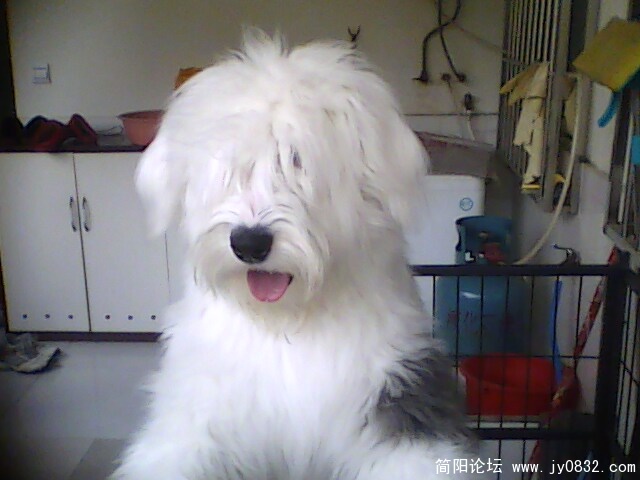 IMG0370A.jpg