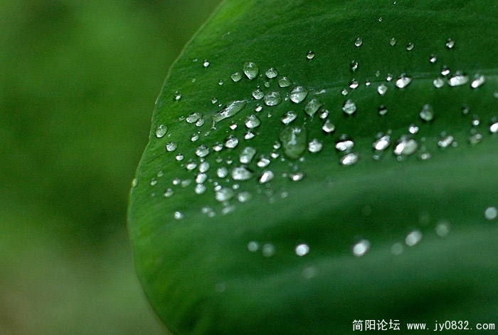 雨霁.jpg