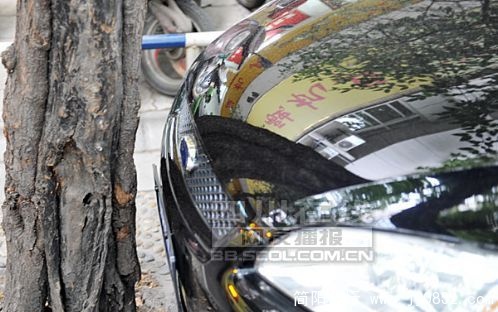 停车2.jpg