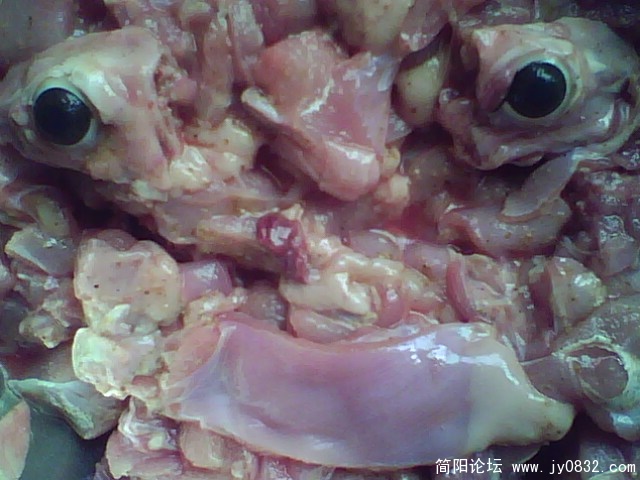 IMG1915A.jpg
