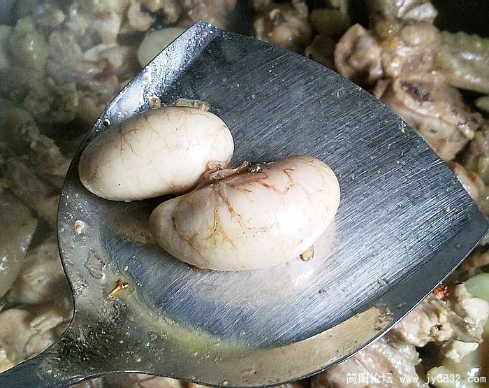 照片1615.jpg