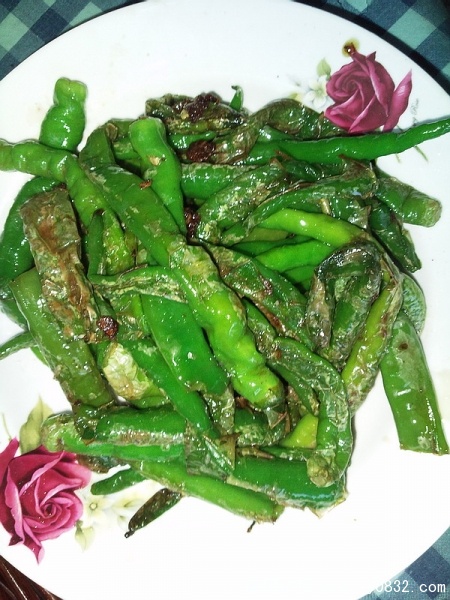 照片1632.jpg
