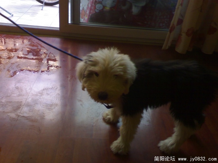 DSC04348.JPG