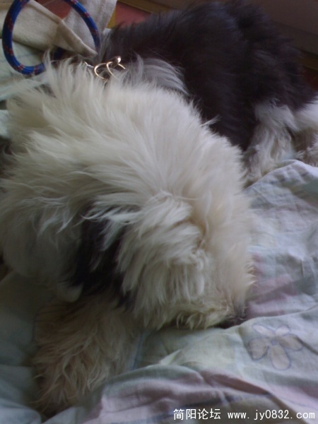 DSC04349.JPG