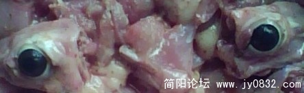 死不瞑目.jpg