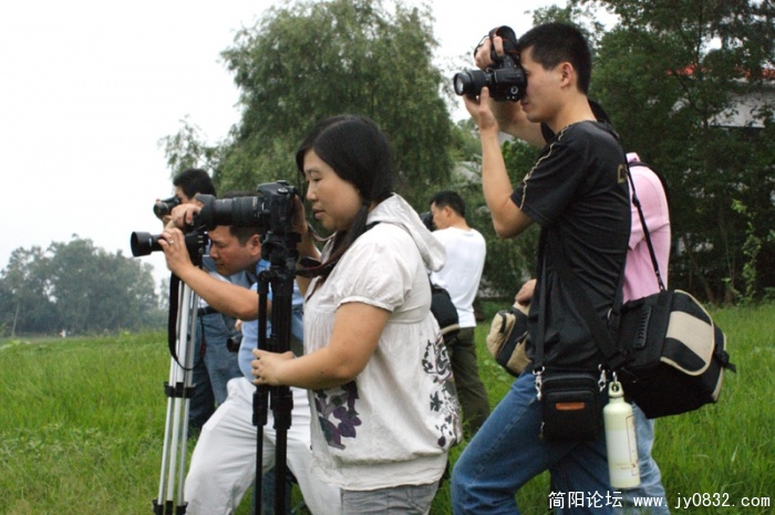 DSC03562-wl.jpg