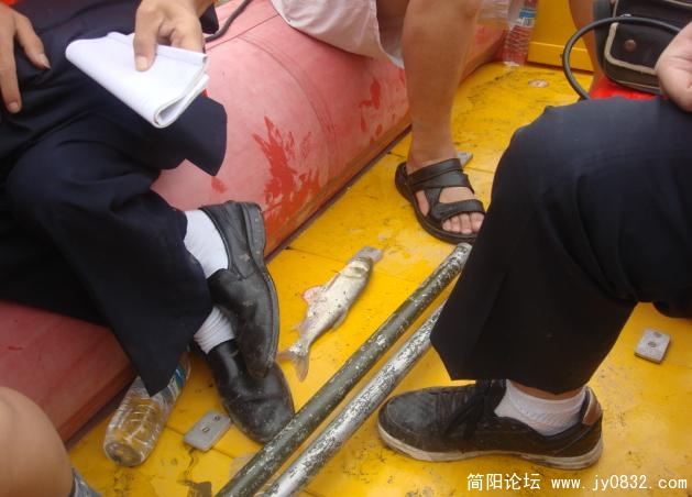 跳了一条鱼在船上，运气好。.jpg