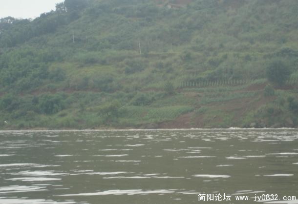 违法人员跑掉了.jpg