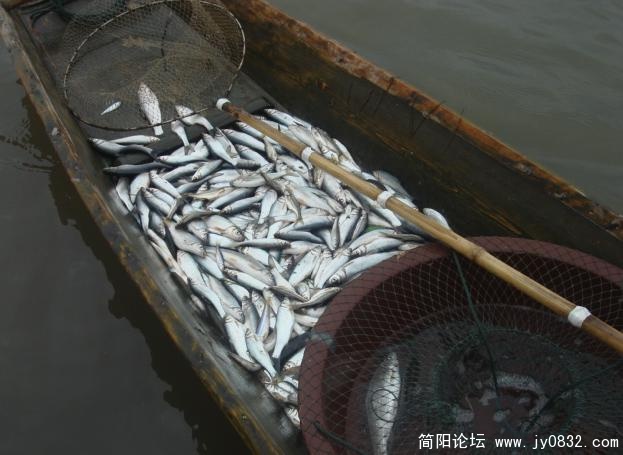 渔获物.jpg