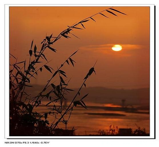 夕阳.JPG
