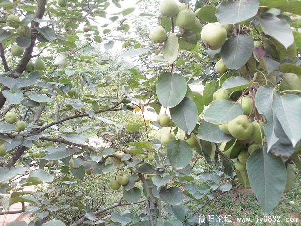 照片1743.jpg