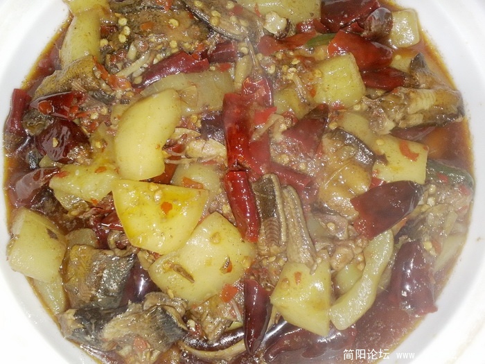 20090711255.jpg