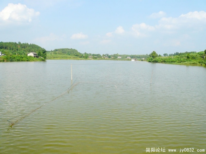 P1110787.JPG